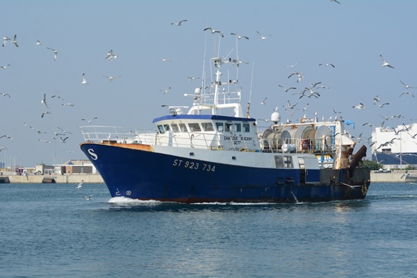 Entreprises de pêche : nouvelle période d’aide